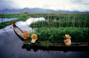 inle-lake-floating-garden-burma-1